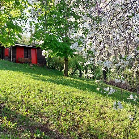 La Collina Delle Acacie Panzió Grumolo Pedemonte Kültér fotó