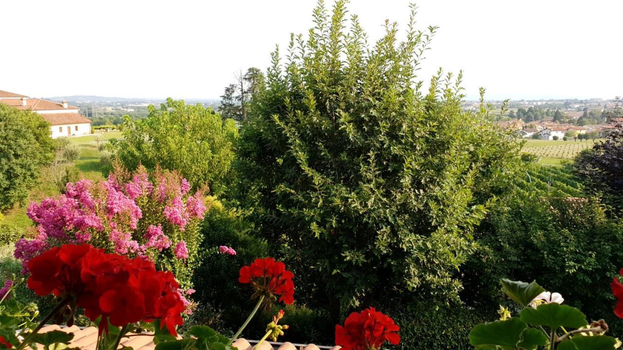 La Collina Delle Acacie Panzió Grumolo Pedemonte Kültér fotó