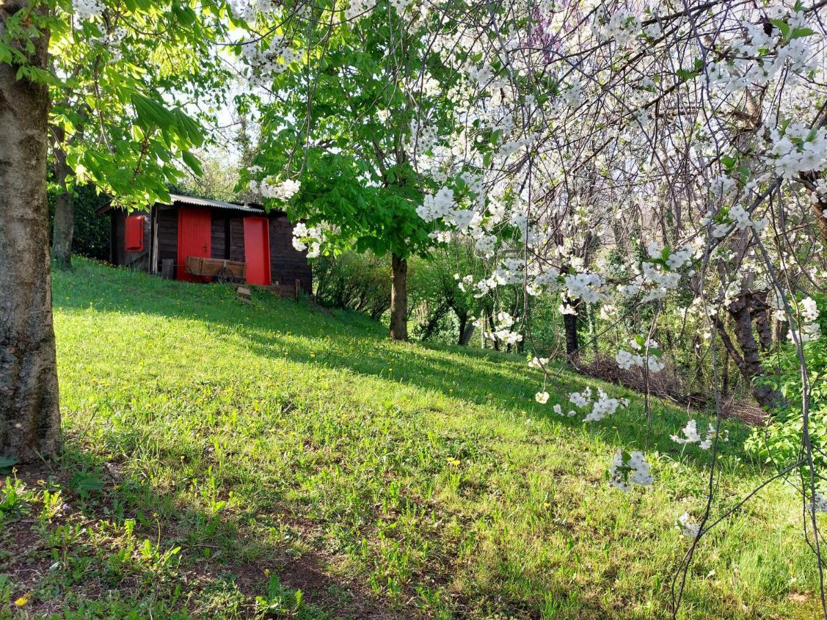 La Collina Delle Acacie Panzió Grumolo Pedemonte Kültér fotó